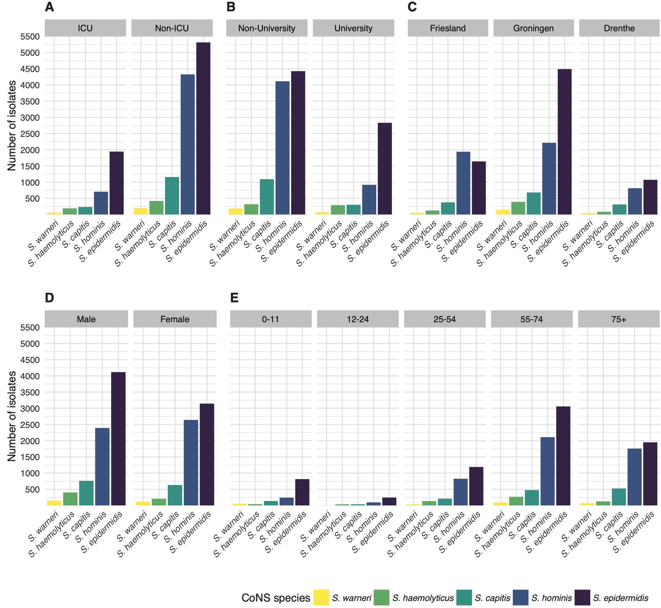 The number of first weighted isolates of the top five CoNS species found in the study stratified by (A) type of care, (B) type of hospital ward, (C) province of the Netherlands, (D), gender, and (E) age group.